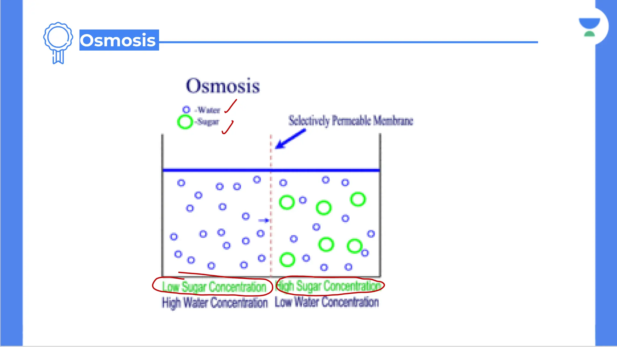 Osmosis
 