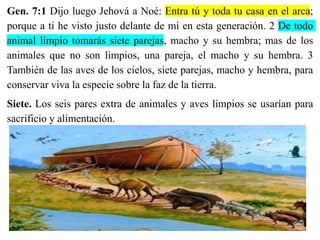 Gen. 7:1 Dijo luego Jehová a Noé: Entra tú y toda tu casa en el arca;
porque a ti he visto justo delante de mí en esta generación. 2 De todo
animal limpio tomarás siete parejas, macho y su hembra; mas de los
animales que no son limpios, una pareja, el macho y su hembra. 3
También de las aves de los cielos, siete parejas, macho y hembra, para
conservar viva la especie sobre la faz de la tierra.
Siete. Los seis pares extra de animales y aves limpios se usarían para
sacrificio y alimentación.
 