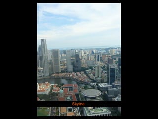 Skyline 