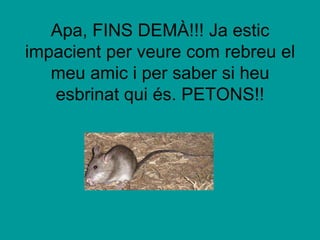 Apa, FINS DEMÀ!!! Ja estic impacient per veure com rebreu el meu amic i per saber si heu esbrinat qui és. PETONS!!