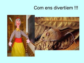            		  Com ens divertíem !!!                                                                                                   