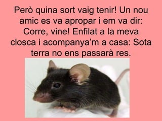 Però quina sort vaig tenir! Un nou amic es va apropar i em va dir: Corre, vine! Enfilat a la meva closca i acompanya’m a casa: Sota terra no ens passarà res.