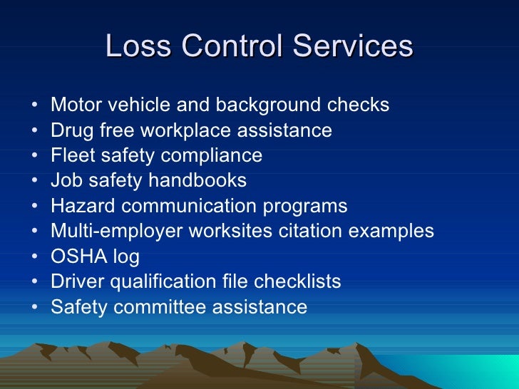 DiMatteo Insurance Service Summary Jd 7 18 06