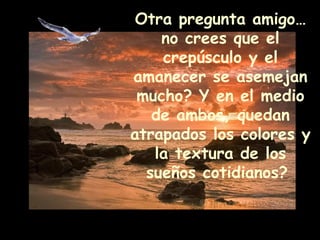 Otra pregunta amigo…no crees que el crepúsculo y el amanecer se asemejan mucho? Y en el medio de ambos, quedan atrapados los colores y la textura de los sueños cotidianos?   
