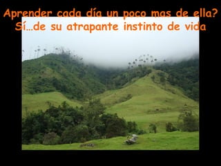Aprender cada día un poco mas de ella? Sí…de su atrapante instinto de vida 