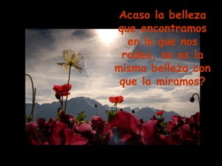 Acaso la belleza que encontramos en lo que nos rodea, no es la misma belleza con que la miramos? 