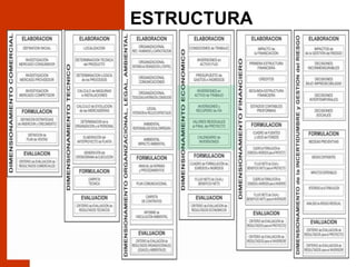 ESTRUCTURA
 