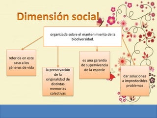 organizada sobre el mantenimiento de la
biodiversidad.
referida en este
caso a los
géneros de vida
la preservación
de la
originalidad de
distintas
memorias
colectivas
es una garantía
de supervivencia
de la especie
dar soluciones
a impredecibles
problemas
 