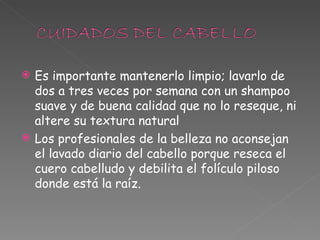 Es importante mantenerlo limpio; lavarlo de dos a tres veces por semana con un shampoo suave y de buena calidad que no lo reseque, ni altere su textura natural Los profesionales de la belleza no aconsejan el lavado diario del cabello porque reseca el cuero cabelludo y debilita el folículo piloso donde está la raíz.  
