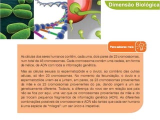 Dimensões da pessoa humana