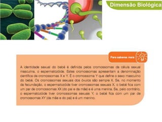 Dimensões da pessoa humana