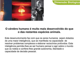 Dimensões da pessoa humana