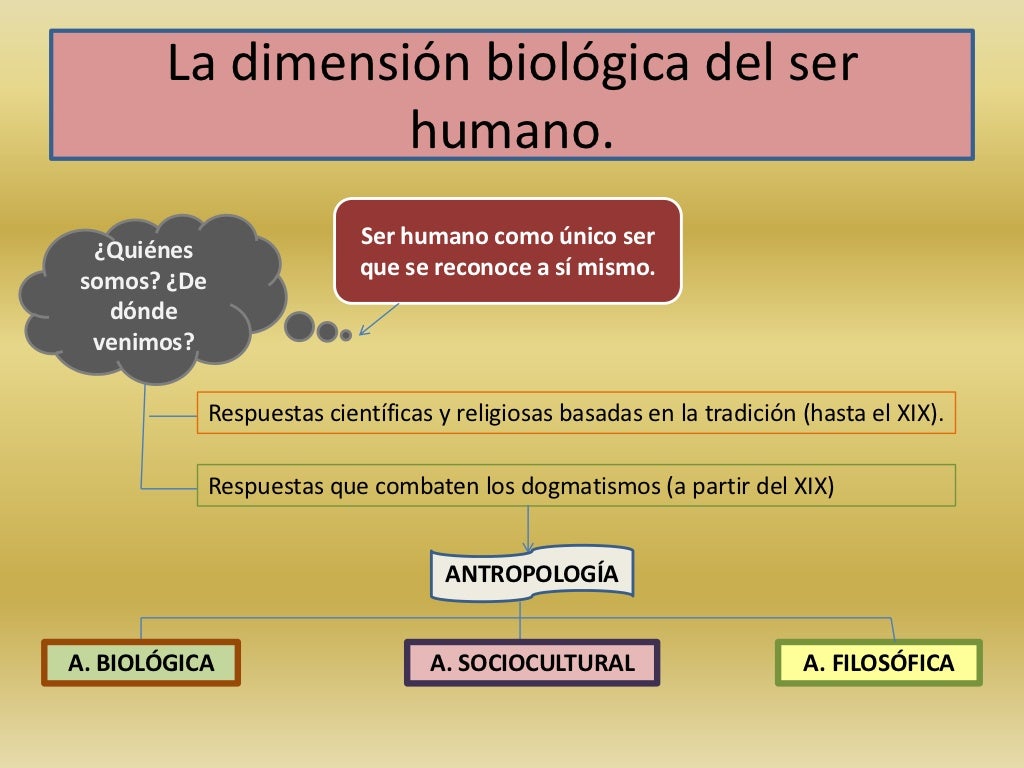 Dimensión biológica del ser humano