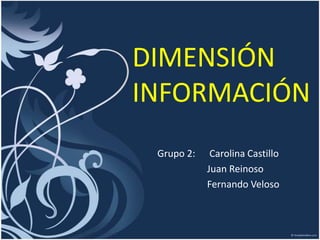 DIMENSIÓN INFORMACIÓN       Grupo 2:	 Carolina Castillo  	Juan Reinoso 	Fernando Veloso 