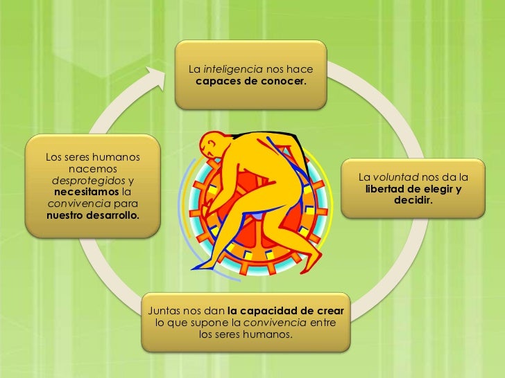 Resultado de imagen para dimensiones sociales