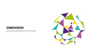 DIMENSION
AVIS DES LEADERS DU SECTEUR
 