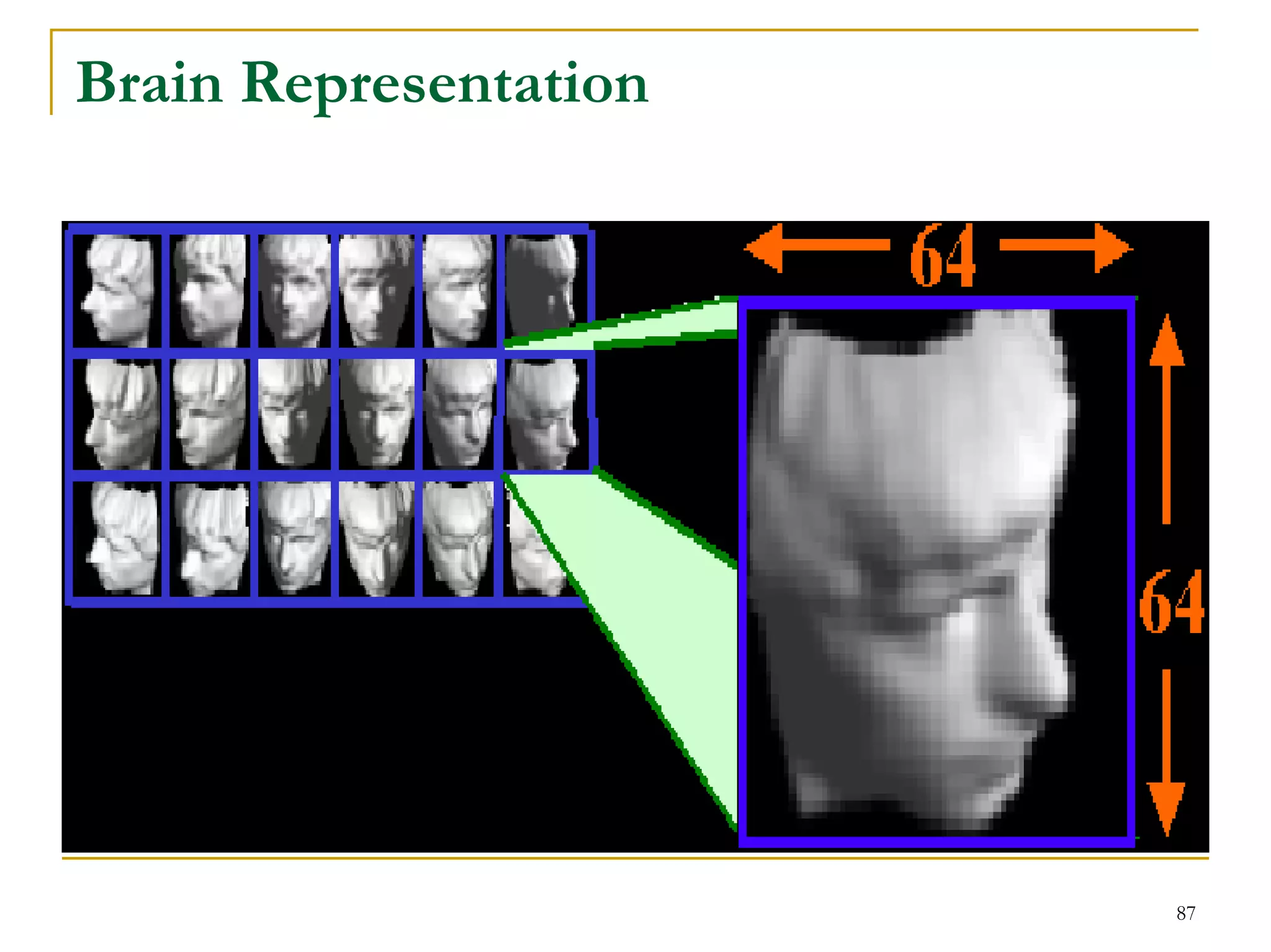Brain Representation




                       87
 