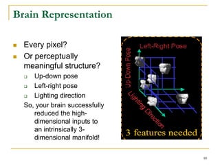 Brain Representation

  Every pixel?
  Or perceptually
  meaningful structure?
     Up-down pose
     Left-right pose
     Lighting direction
  So, your brain successfully
     reduced the high-
     dimensional inputs to
     an intrinsically 3-
     dimensional manifold!

                                88
 