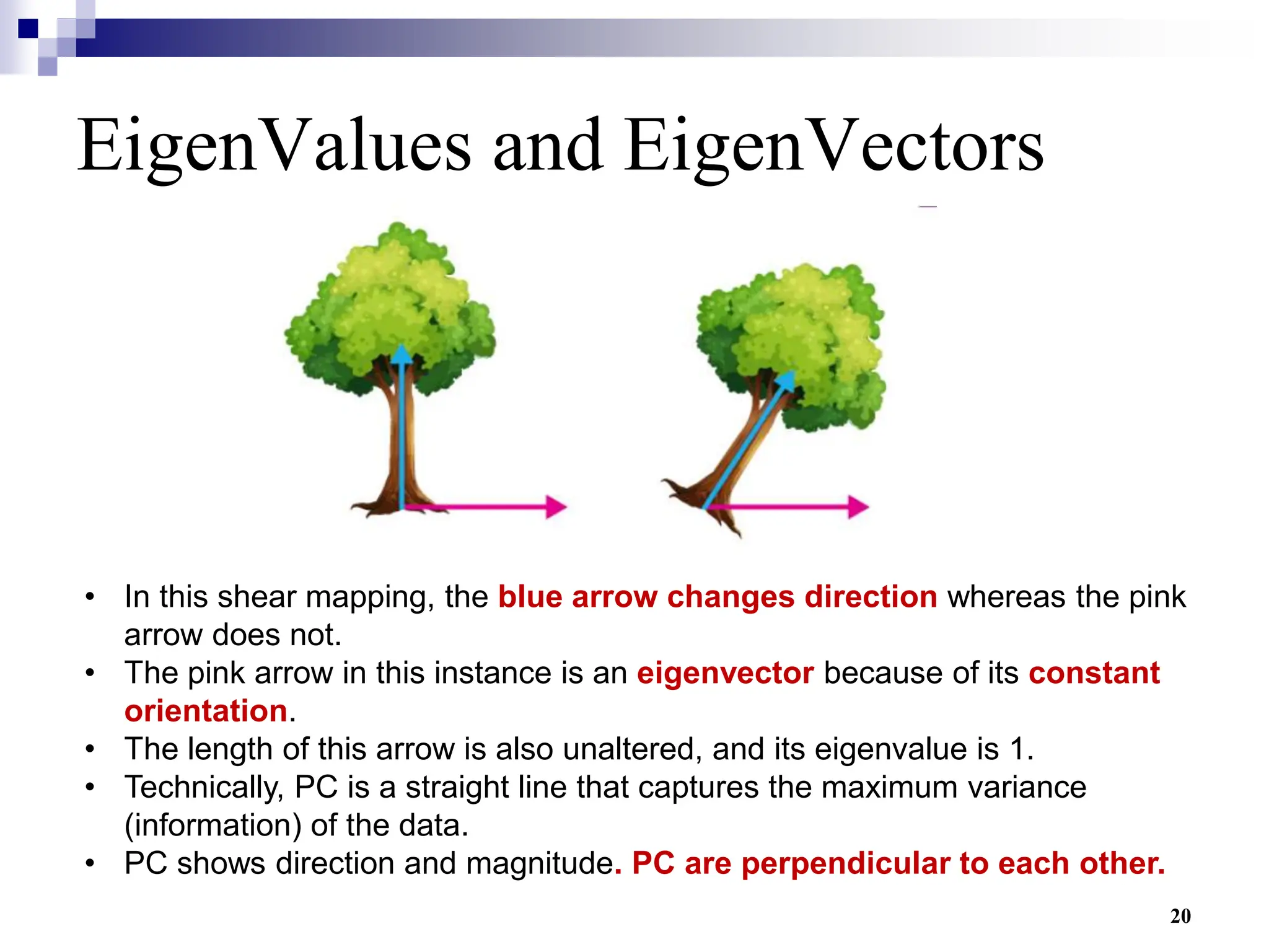 20
EigenValues and EigenVectors
• In this shear mapping, the blue arrow changes direction whereas the pink
arrow does not.
• The pink arrow in this instance is an eigenvector because of its constant
orientation.
• The length of this arrow is also unaltered, and its eigenvalue is 1.
• Technically, PC is a straight line that captures the maximum variance
(information) of the data.
• PC shows direction and magnitude. PC are perpendicular to each other.
 