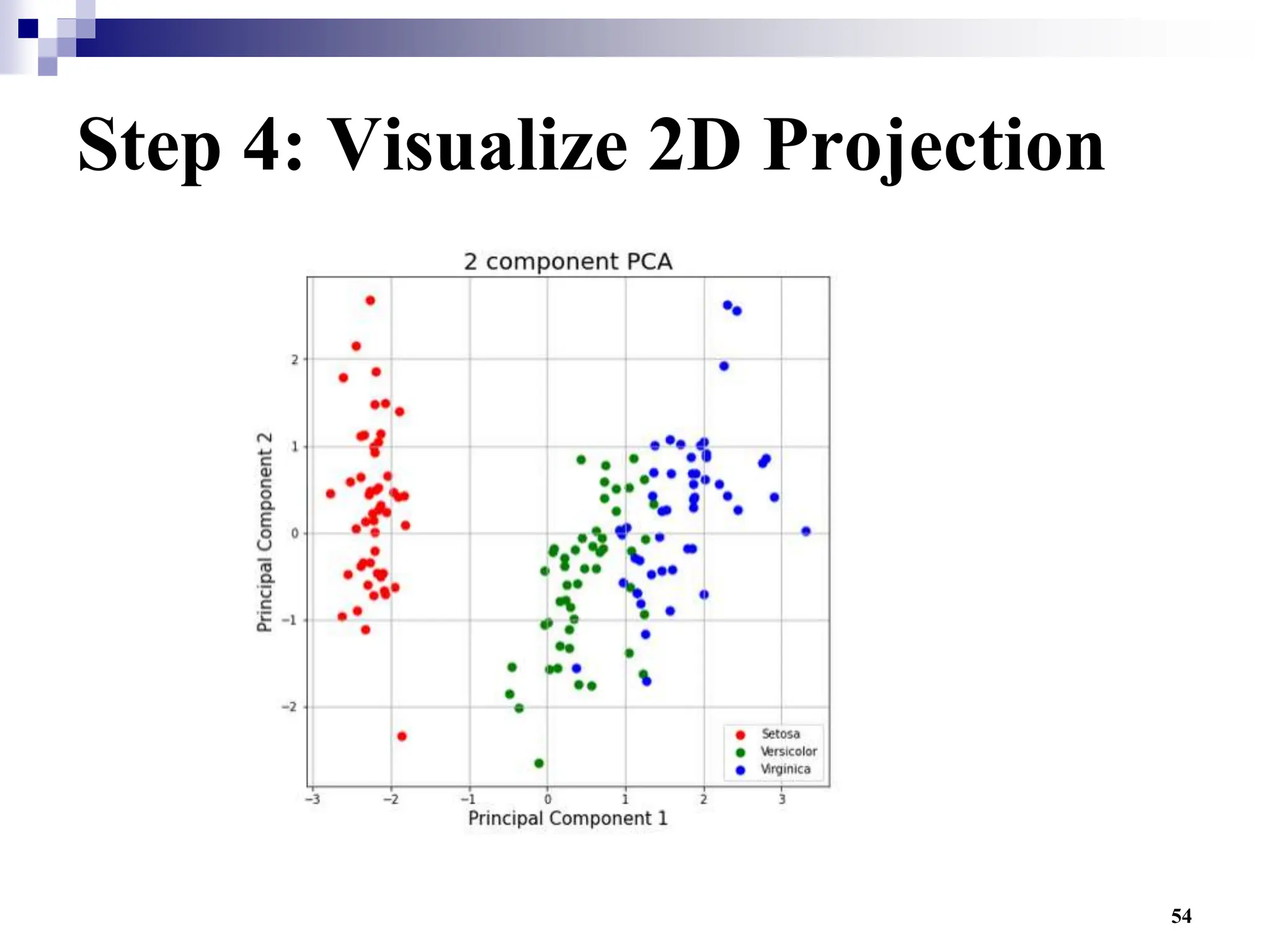 54
Step 4: Visualize 2D Projection
 