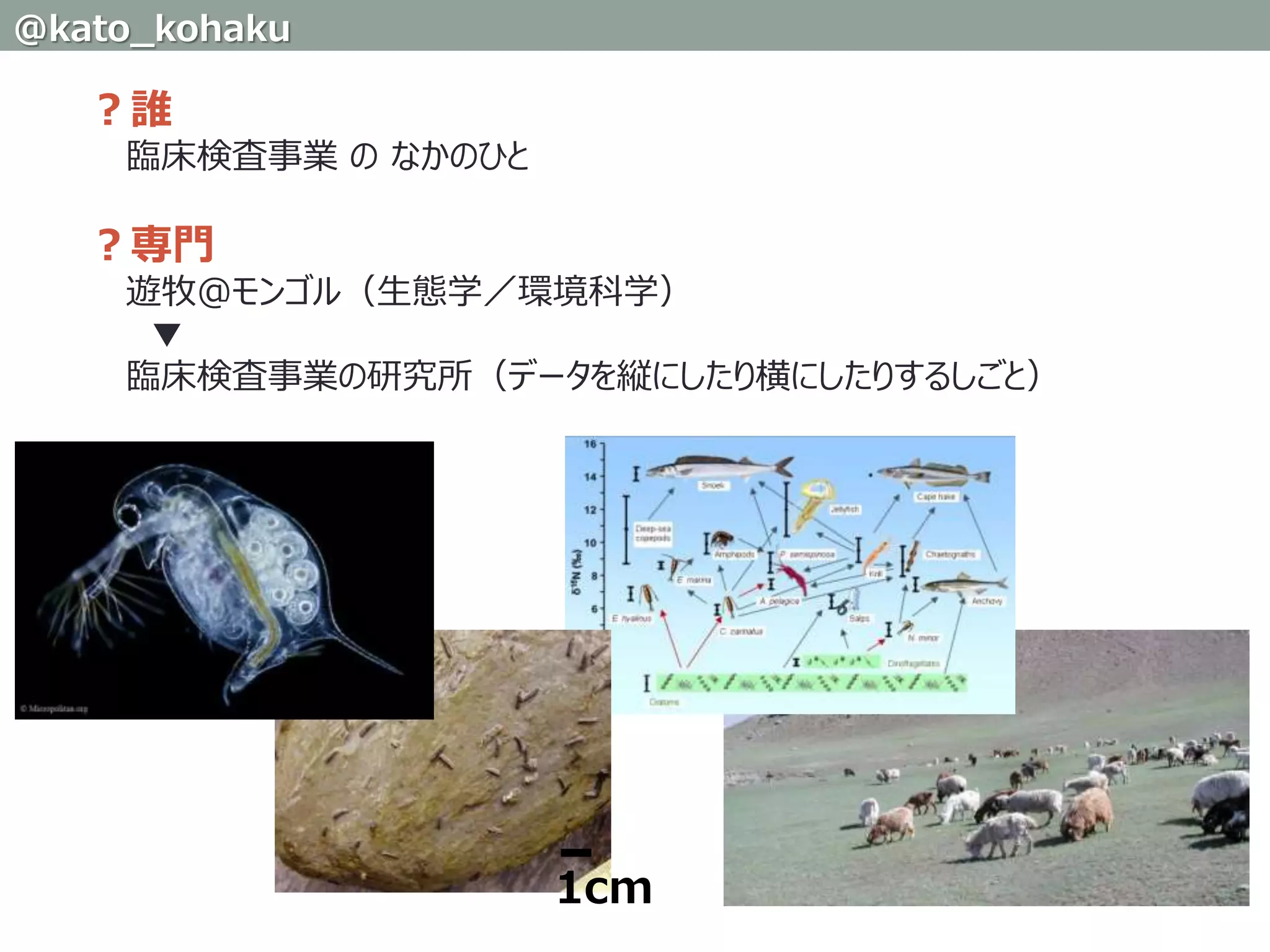 ？誰
臨床検査事業 の なかのひと
？専門
遊牧＠モンゴル（生態学／環境科学）
▼
臨床検査事業の研究所（データを縦にしたり横にしたりするしごと）
1cm
@kato_kohaku
 