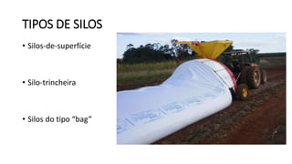 TIPOS DE SILOS
• Silos-de-superfície
• Silo-trincheira
• Silos do tipo “bag”
 