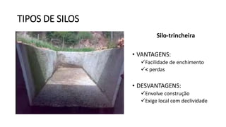 TIPOS DE SILOS
Silo-trincheira
• VANTAGENS:
Facilidade de enchimento
< perdas
• DESVANTAGENS:
Envolve construção
Exige local com declividade
 