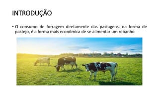 INTRODUÇÃO
• O consumo de forragem diretamente das pastagens, na forma de
pastejo, é a forma mais econômica de se alimentar um rebanho
 