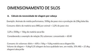 DIMENSIONAMENTO DE SILOS
A. Cálculo da necessidade de silagem por cabeça
 