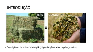 INTRODUÇÃO
• Condições climáticas da região, tipo de planta forrageira, custos
X
FENO SILAGEM
 