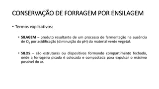 CONSERVAÇÃO DE FORRAGEM POR ENSILAGEM
• Termos explicativos:
• SILAGEM – produto resultante de um processo de fermentação na ausência
de O2 por acidificação (diminuição do pH) do material verde vegetal.
• SILOS – são estruturas ou dispositivos formando compartimento fechado,
onde a forrageira picada é colocada e compactada para expulsar o máximo
possível do ar.
 