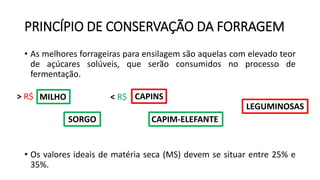 PRINCÍPIO DE CONSERVAÇÃO DA FORRAGEM
• As melhores forrageiras para ensilagem são aquelas com elevado teor
de açúcares solúveis, que serão consumidos no processo de
fermentação.
• Os valores ideais de matéria seca (MS) devem se situar entre 25% e
35%.
MILHO
SORGO
CAPINS
CAPIM-ELEFANTE
LEGUMINOSAS
< R$> R$
 