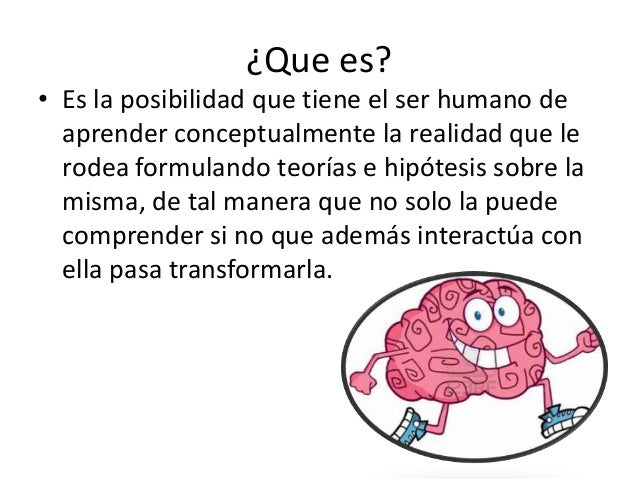Dimension cognitiva