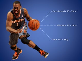 Circunferencia: 75 – 78cm
Diámetro: 23 – 24cm
Peso: 567 – 650g