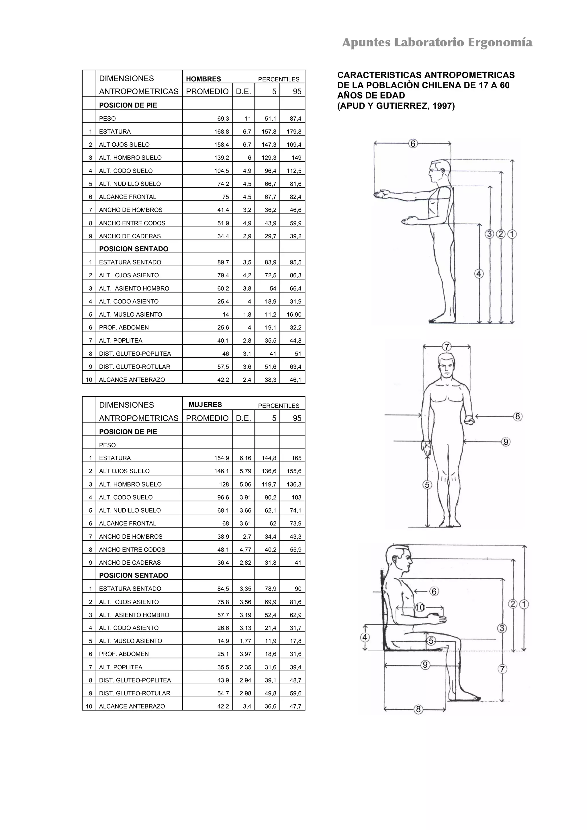 dimensiones-antropometricas-pdf