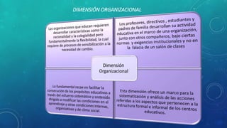 DIMENSIÓN ORGANIZACIONAL 
 
