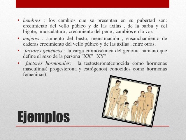 Los aumentos del miembro por los ejercicios en onlayn