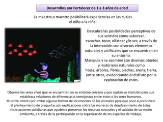Desarrollos por Fortalecer de 1 a 3 años de edad
Descubra las posibilidades perceptivas de
sus sentidos como saborear,
escuchar, tocar, olfatear y/o ver, a través de
la interacción con diversos elementos
naturales y artificiales que se encuentran en
su entorno.
Manipule y se asombre con diversos objetos
y materiales naturales como
hojas, árboles, flores, piedras, arena, tierra,
entre otros, evidenciando el disfrute por la
exploración de estos.
La maestra o maestro posibilitará experiencias en las cuales
el niño o la niña:
Observe los seres vivos que se encuentran en su entorno cercano y que captan su atención para que
establezca relaciones de diferencias o semejanzas entre estos y los seres humanos.
Muestre interés por imitar algunas formas de locomoción de los animales para que poco a poco inicie
el planteamiento de preguntas y/o explicaciones sobre las maneras de desplazamiento de éstos.
Inicie acciones cotidianas que ayuden a preservar los recursos naturales y el cuidado de su medio
ambiente, a través de la participación en la organización de los espacios de trabajo.
 