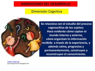 DIMENSIONES DEL DESARROLLO
Imagen images.jpg
pizarrasypizarrones.blogspot.com
Dimensión Cognitiva
Se relaciona con el estudio del proceso
cognoscitivo de los sujetos:
Hace evidente cómo captan el
mundo interno y externo,
cómo organizan la información
recibida a través de la experiencia, y
además cómo, progresiva y
permanentemente, construyen y
reconstruyen el conocimiento.
 