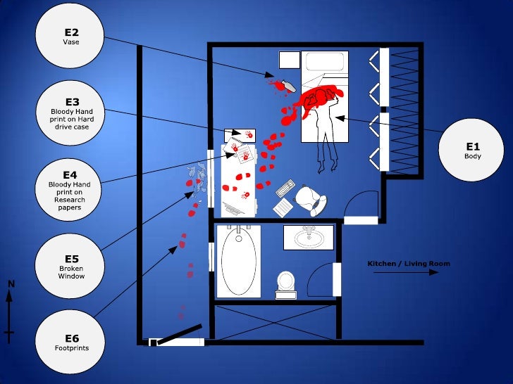 Dimensiones Del Lugar De Los Hechos