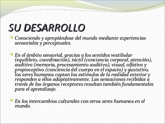 dimensiones del ser humano