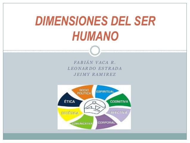 dimensiones del ser humano