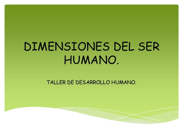 dimensiones rytir