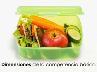 Dimensiones de la competencia básica
 