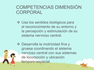 COMPETENCIAS DIMENSIÓN
CORPORAL
 Usa los sentidos biológicos para
el reconocimiento de su entorno y
la percepción y estimulación de su
sistema nervioso central.
 Desarrolla la motricidad fina y
gruesa coordinando el sistema
nervioso central con sus sistemas
de locomoción y ubicación
temporo-espacial.
 
