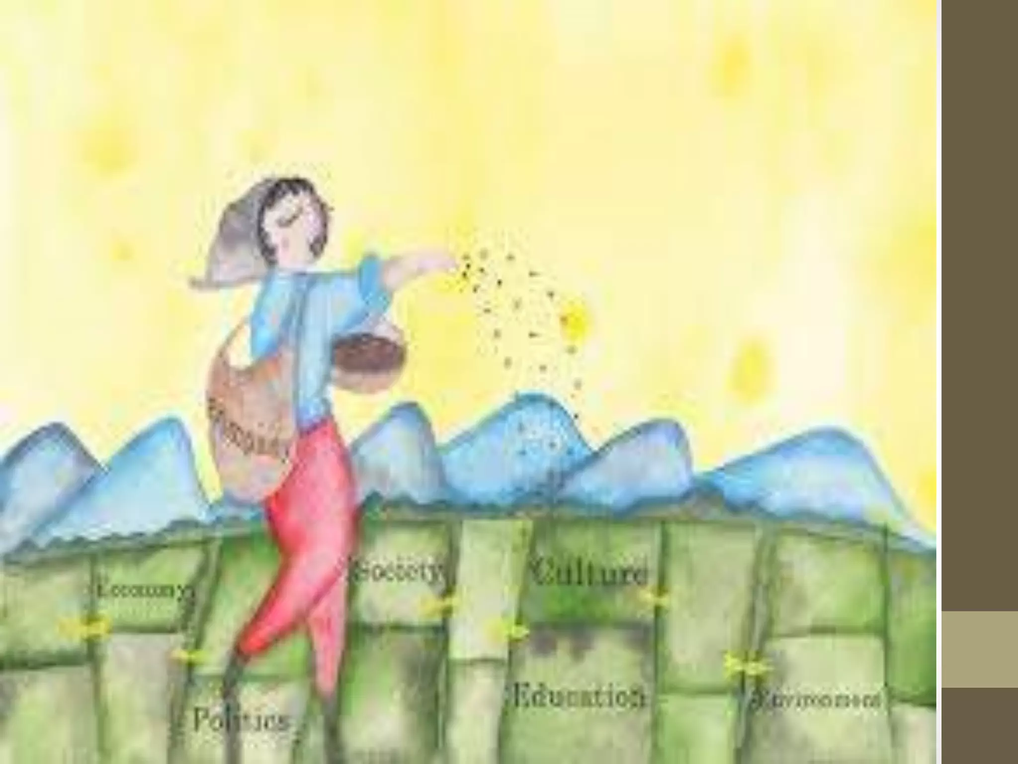 Dimensiones sustentables Steven