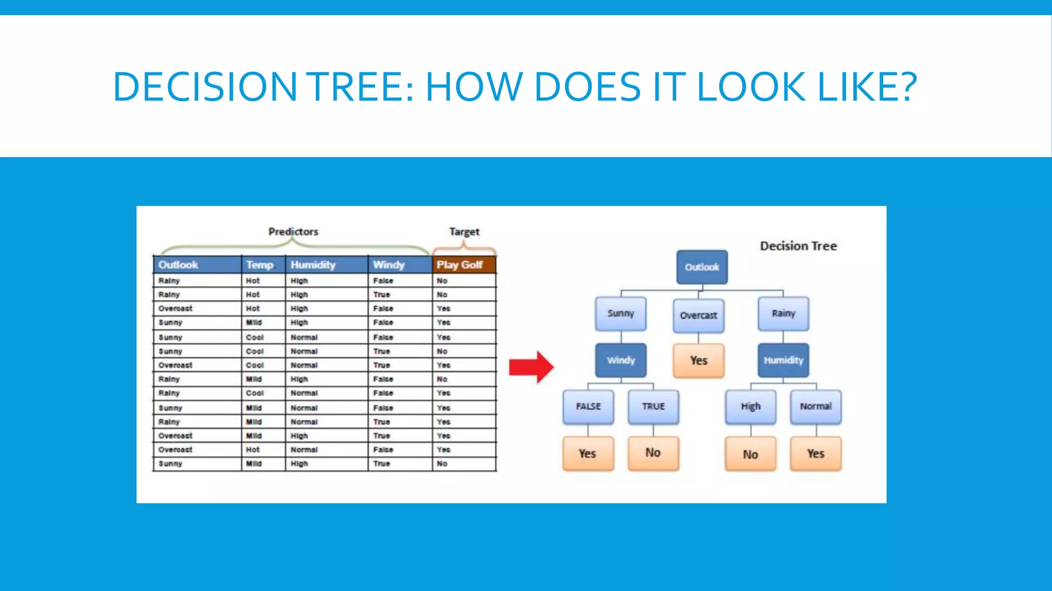 DECISIONTREE: HOW DOES IT LOOK LIKE?
 