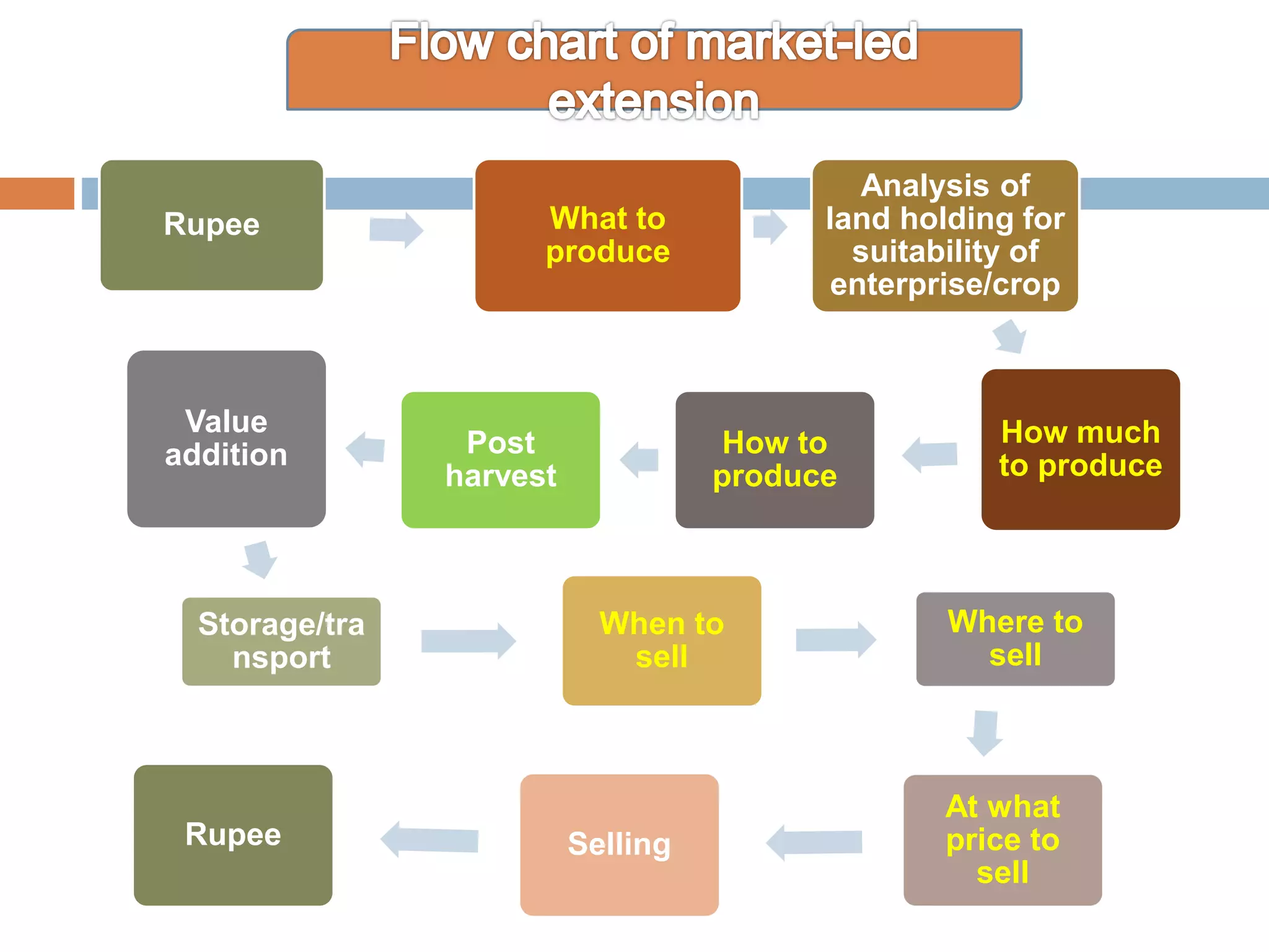Rupee What to
produce
Analysis of
land holding for
suitability of
enterprise/crop
How much
to produce
How to
produce
Post
harvest
Value
addition
Storage/tra
nsport
When to
sell
Where to
sell
At what
price to
sell
SellingRupee
 