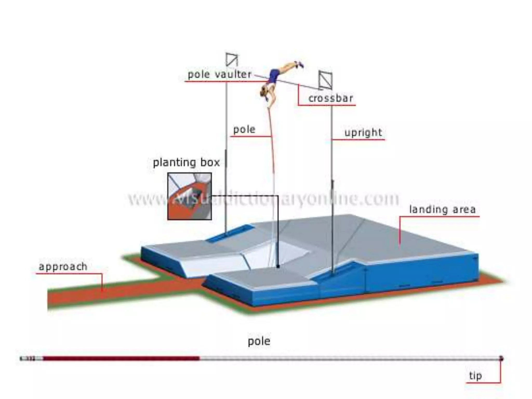 Dimensions of pit and rules and regulations of pole vault PPT