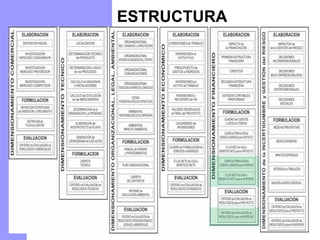 ESTRUCTURA
 
